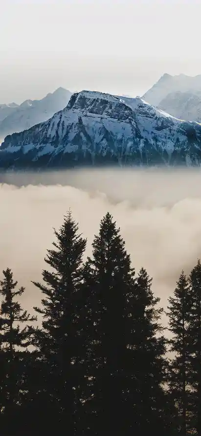 4k云海壁纸 - 云雾 - 壁纸 - 山脉「哲风壁纸」