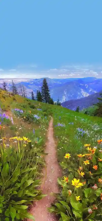 4k壁纸壁纸 - 小径 - 山坡 - 山脉「哲风壁纸」