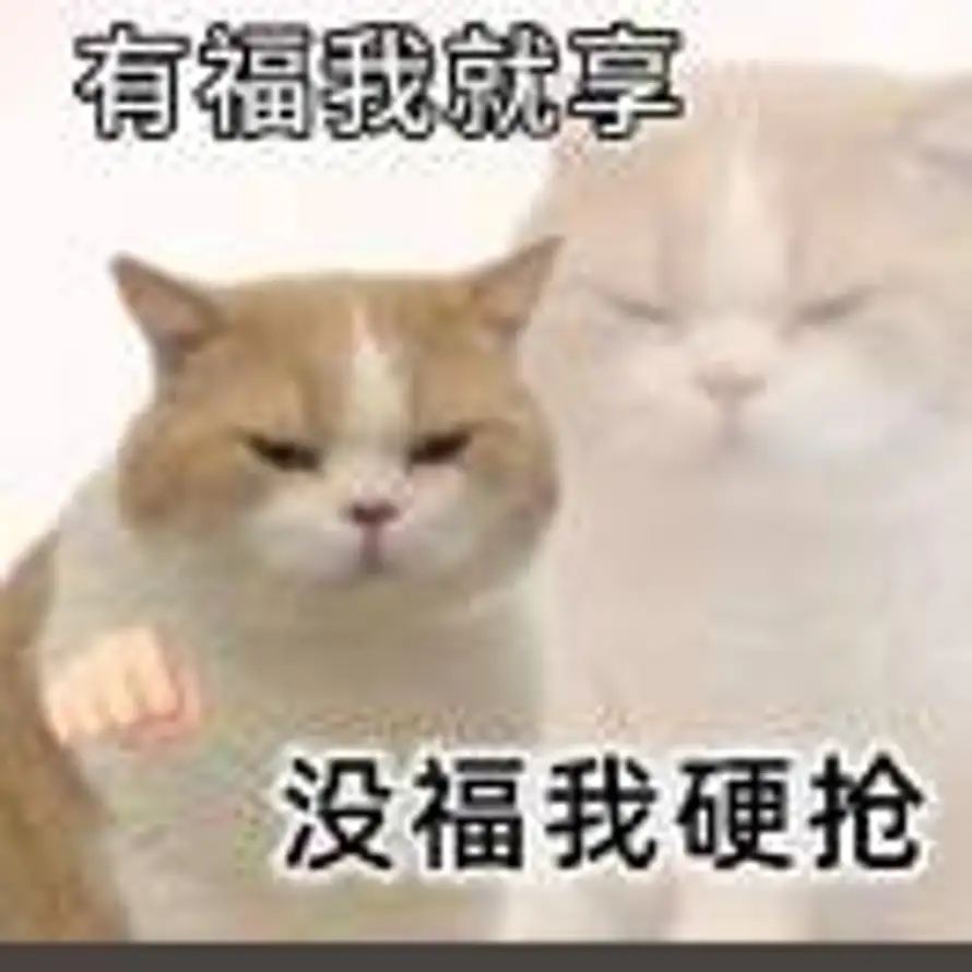 ة的头像