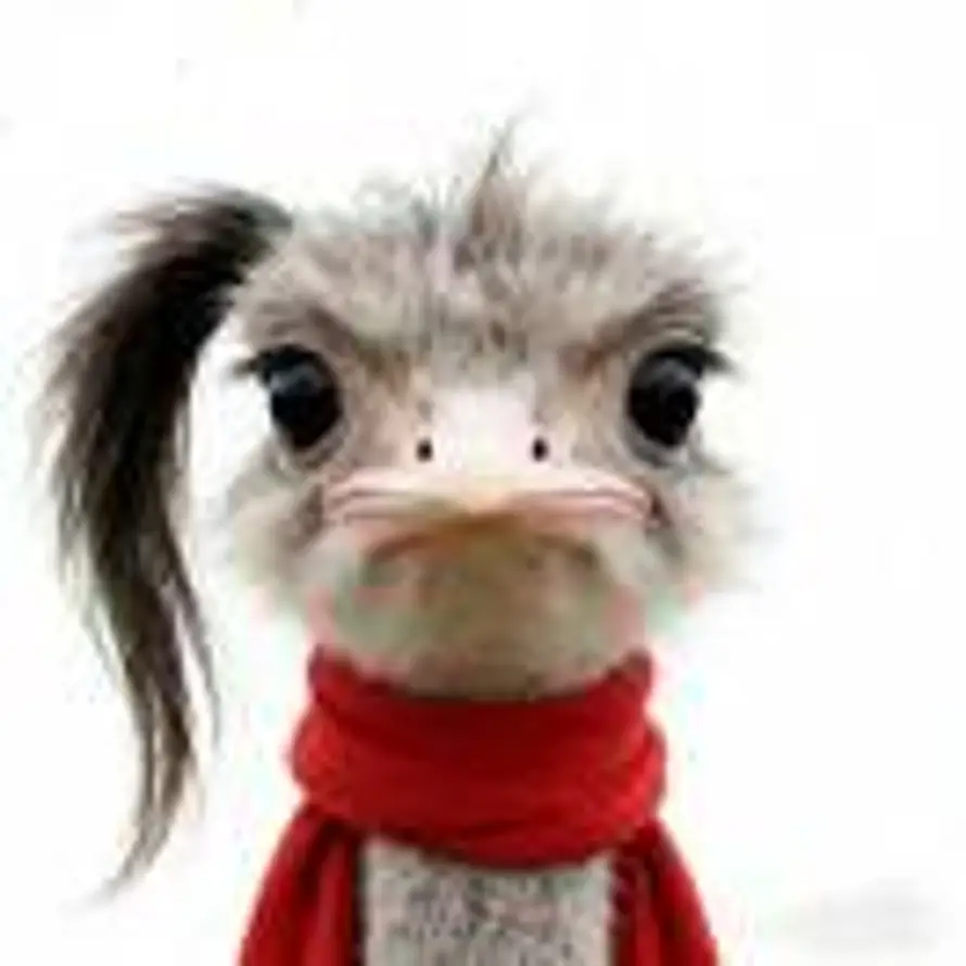 [捂脸][OK]的头像