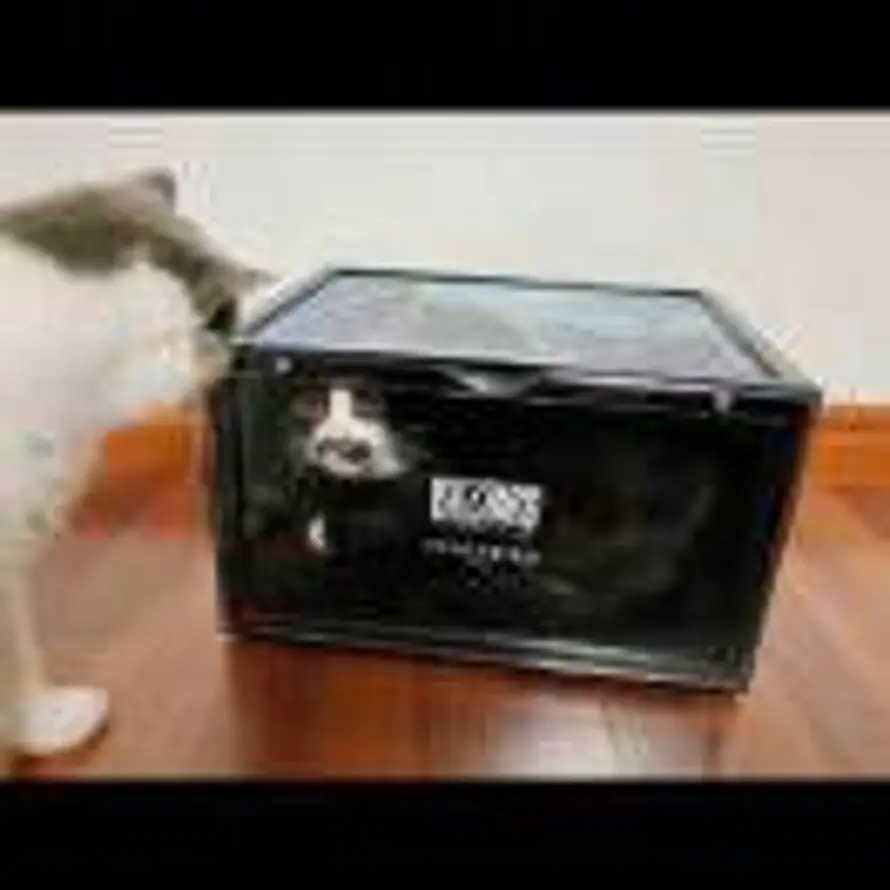 挂机的个体户的头像