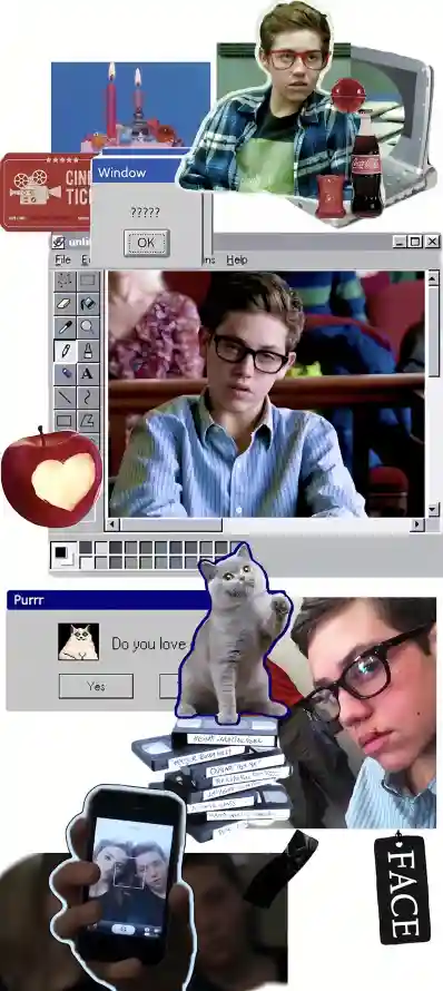 4k眼镜壁纸 - 手机 - 搞怪 - 猫咪「哲风壁纸」