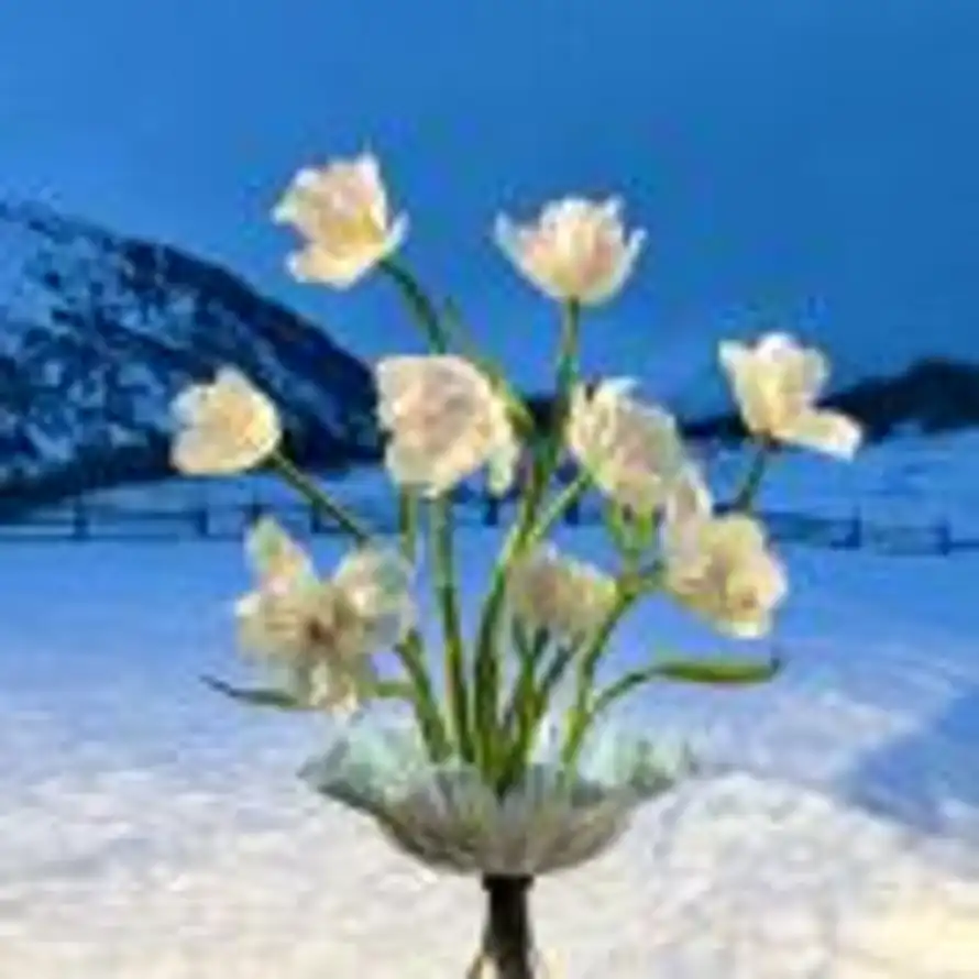 一只呆鹅的头像