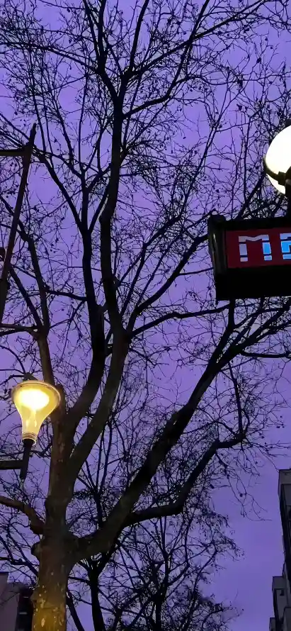 4k傍晚壁纸 - 夜景 - 夜空 - 寂静「哲风壁纸」