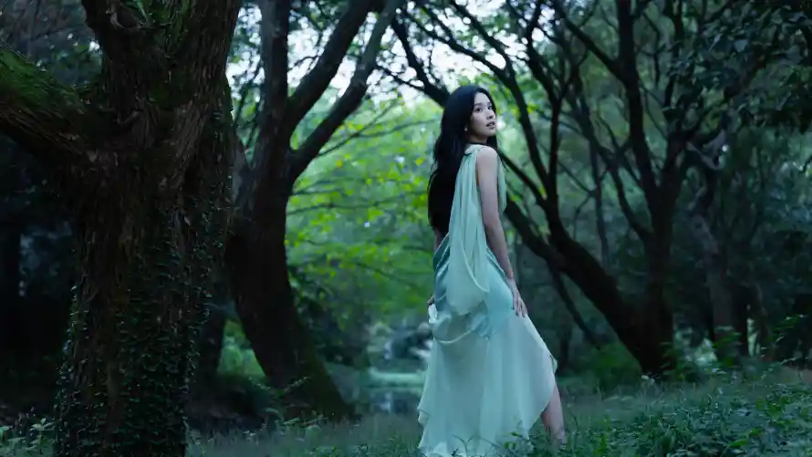 4k优雅壁纸 - 户外 - 文艺 - 树林「哲风壁纸」