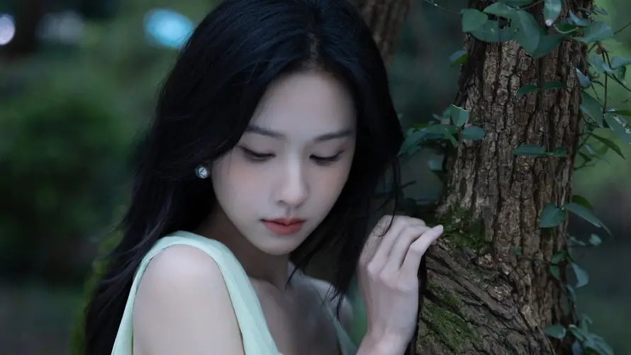 4k户外壁纸 - 树木 - 森系 - 清新「哲风壁纸」