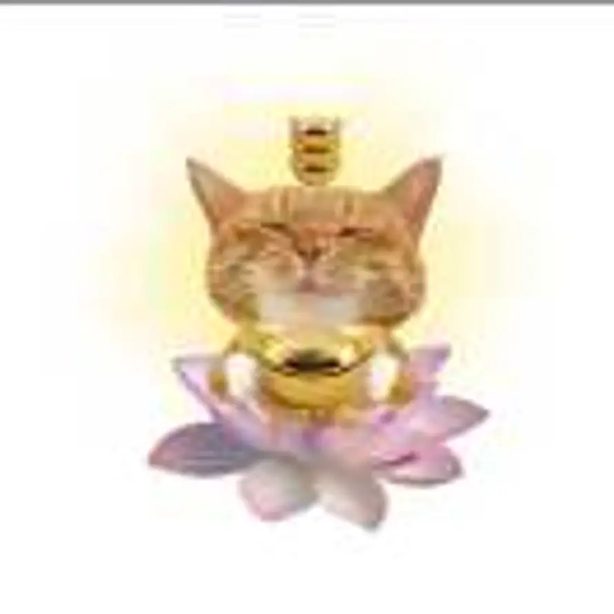 上好佳佳佳的头像