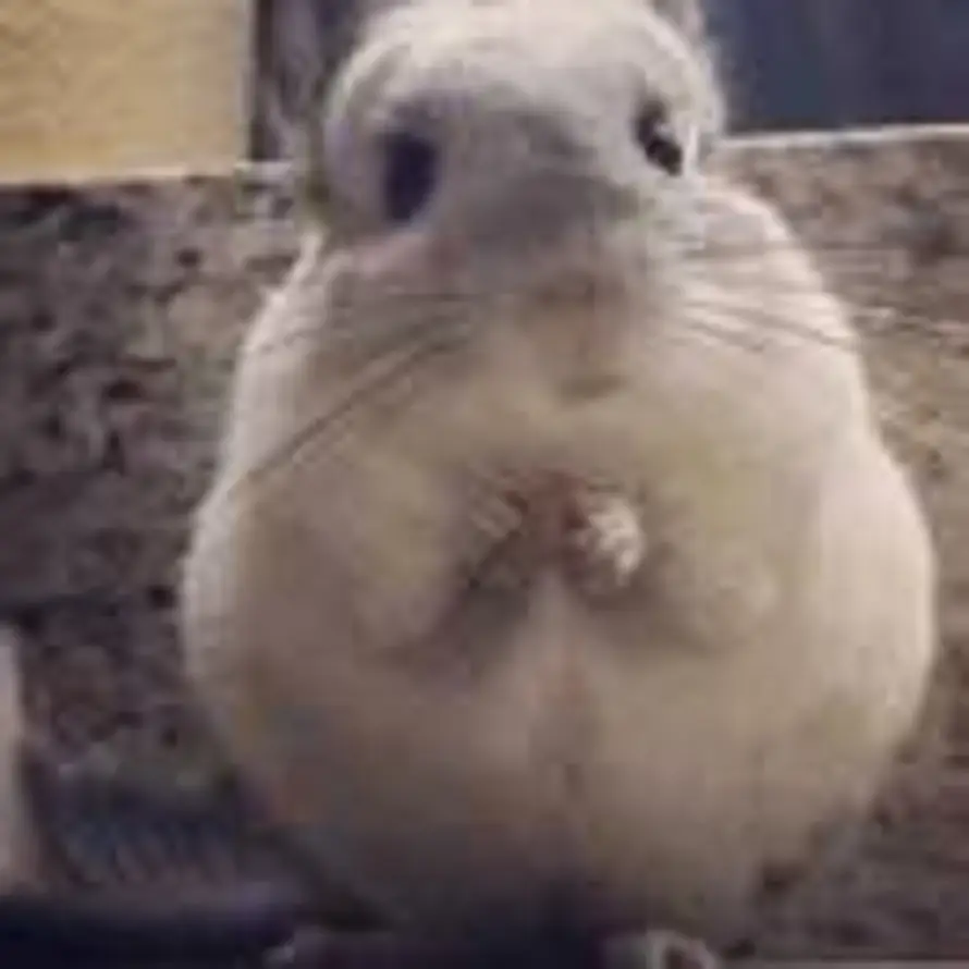 缥缈คิดถึง的头像