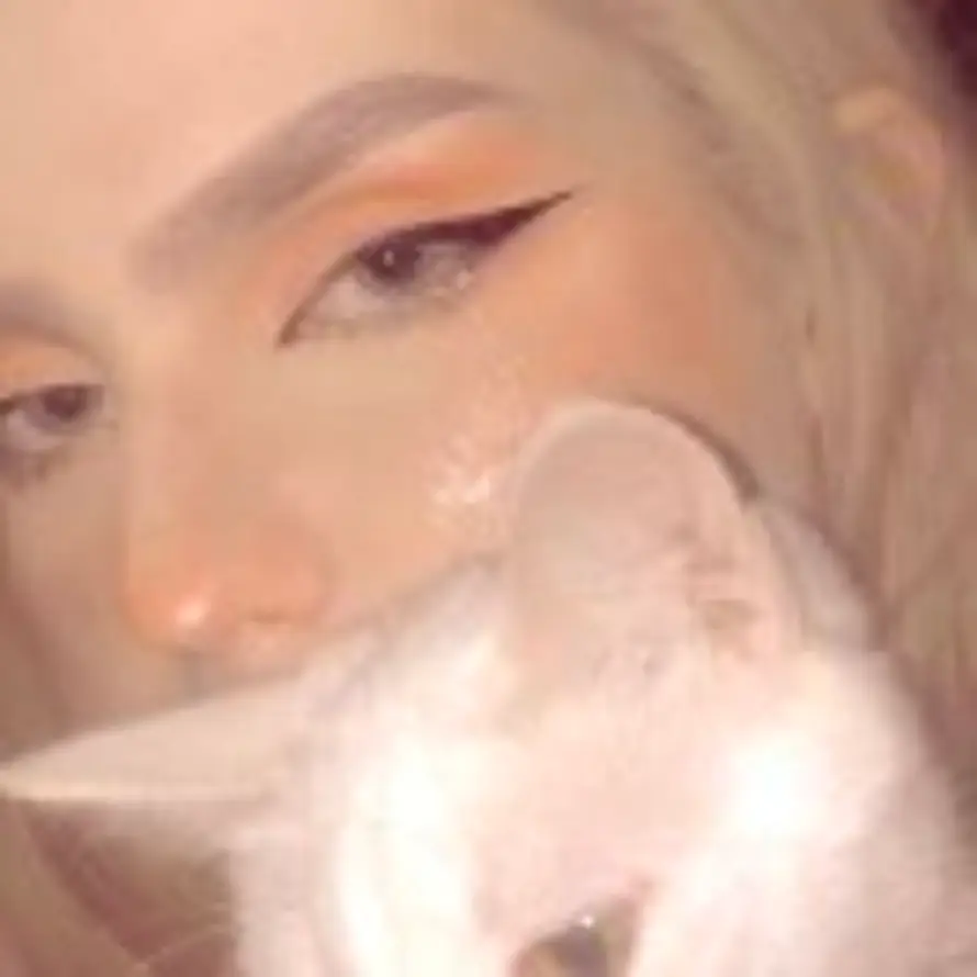 钙世嘤嘤怪的头像