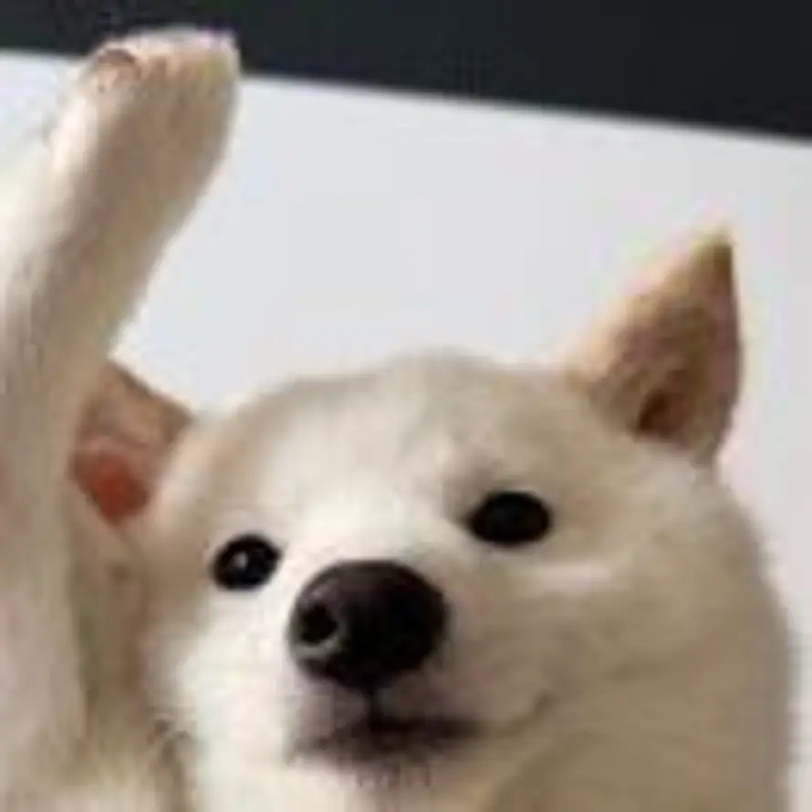 A小温（18930787282）的头像