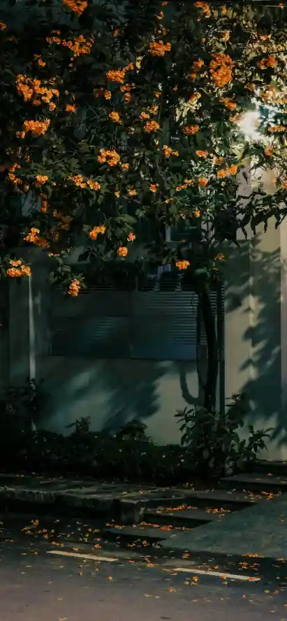 4k夜晚壁纸 - 夜景 - 建筑 - 景深「哲风壁纸」