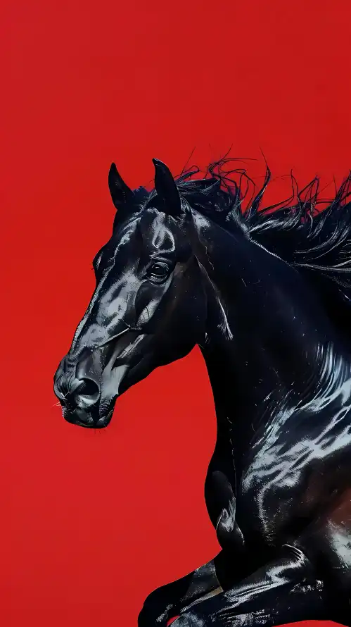 4k动感壁纸 - 动物 - 红底 - 马匹「哲风壁纸」
