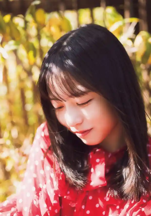 4k微笑壁纸 - 户外 - 树叶 - 清新「哲风壁纸」