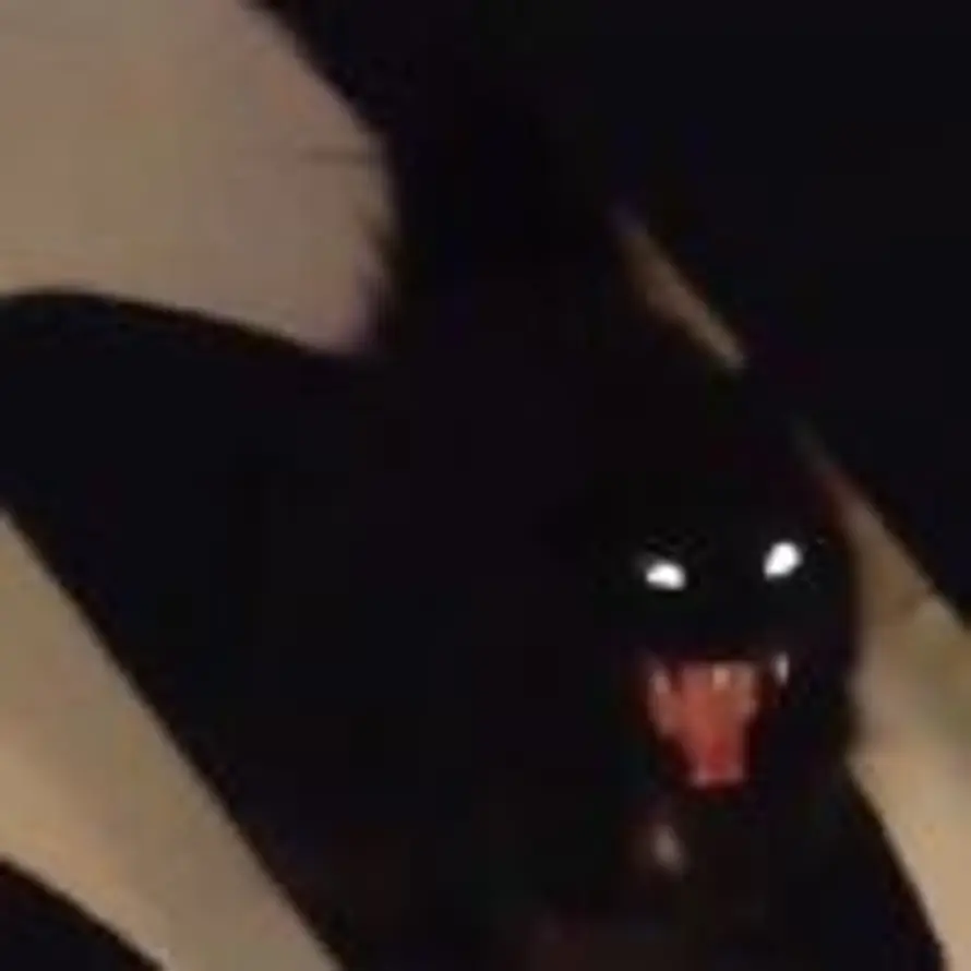 疯狂米饭馅包子的头像