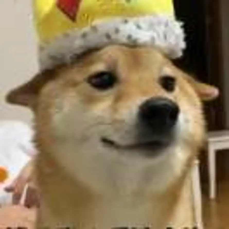 Steven.🌟的头像