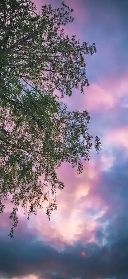 4k云彩壁纸 - 傍晚 - 天空 - 晚霞「哲风壁纸」