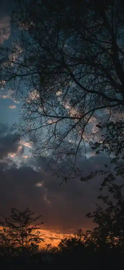 4k云朵壁纸 - 余晖 - 傍晚 - 剪影「哲风壁纸」