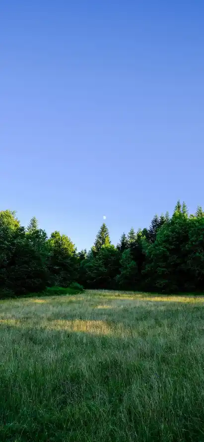 4k宁静壁纸 - 开阔 - 户外 - 晴朗「哲风壁纸」