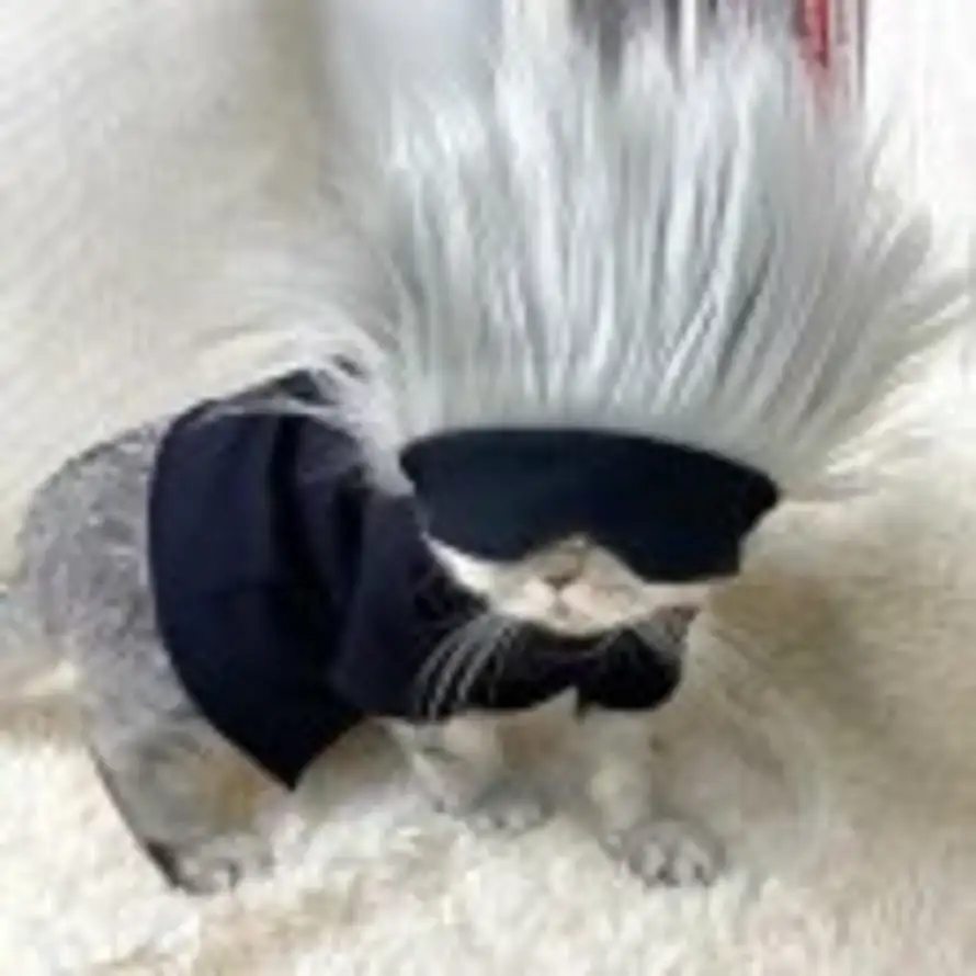 A.J.!.E（鍾.傑）的头像