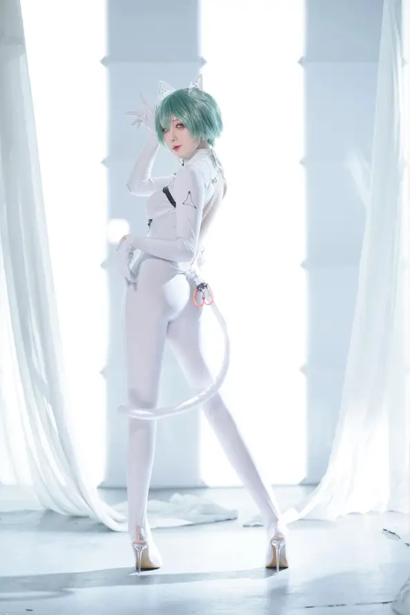 4k优雅壁纸 - 室内 - 小猫 - 摄影「哲风壁纸」