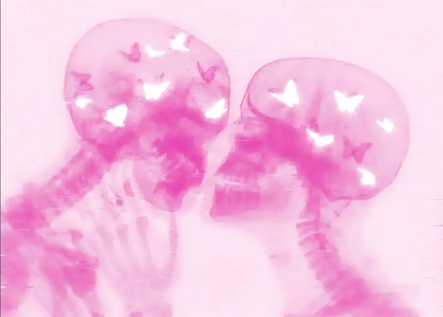 4k爱心壁纸 - 粉色 - 蝴蝶 - 骷髅「哲风壁纸」