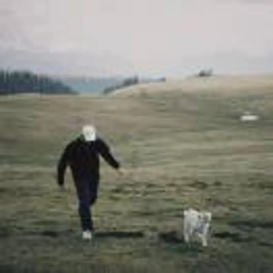 支个橘子摊儿的头像