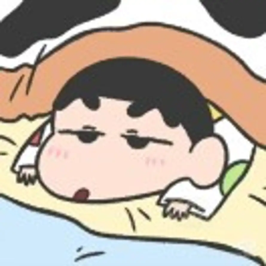 蜡笔小宝的头像