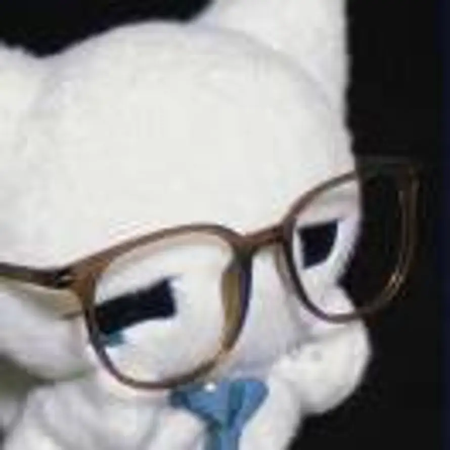 兔子不吃草的头像