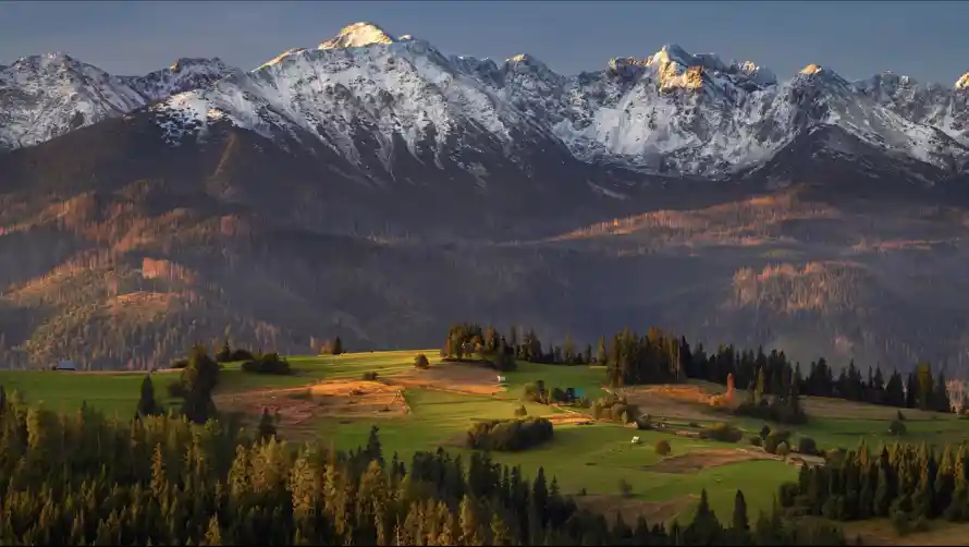 4k森林壁纸 - 阳光 - 雪山 - 光影「哲风壁纸」