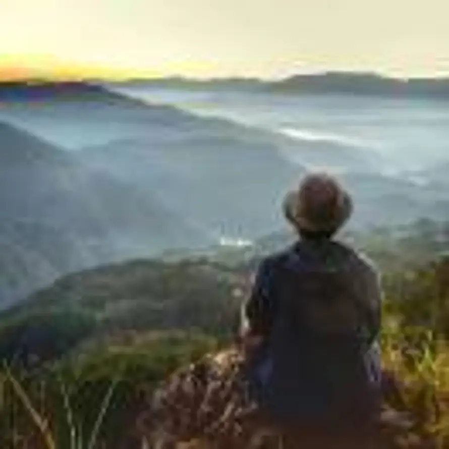 太阳当空赵🌞的头像