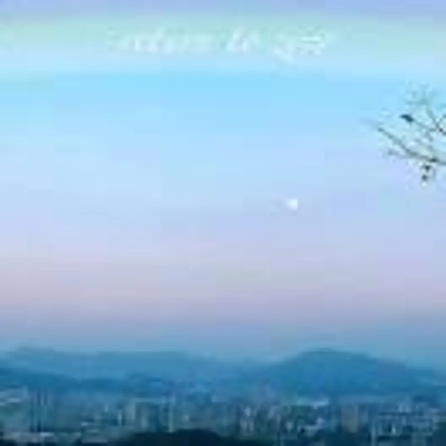 L_ZQ多睡觉的用户头像 - 哲风壁纸