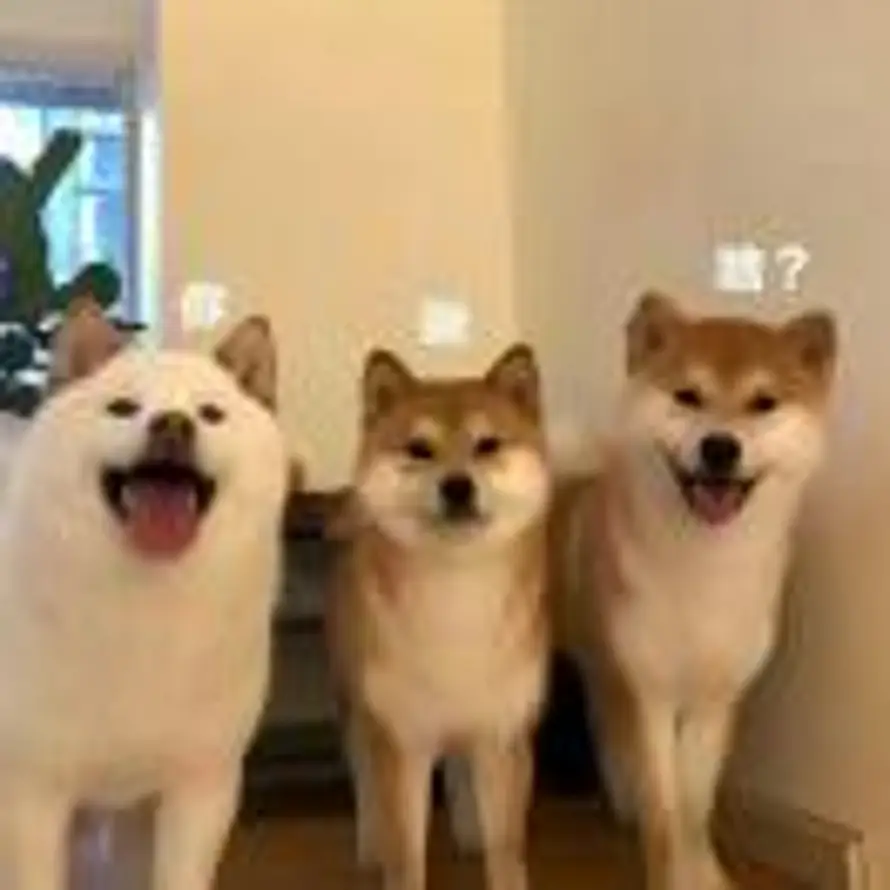 天选打工人的头像