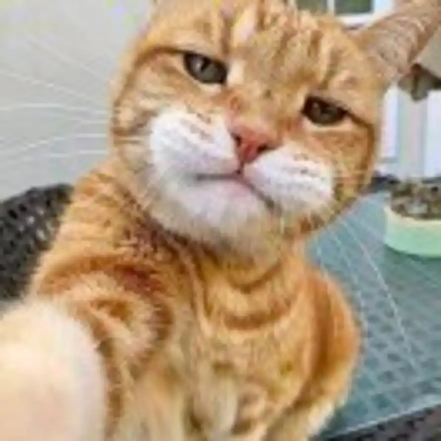 SHOW UP&WIN.的头像