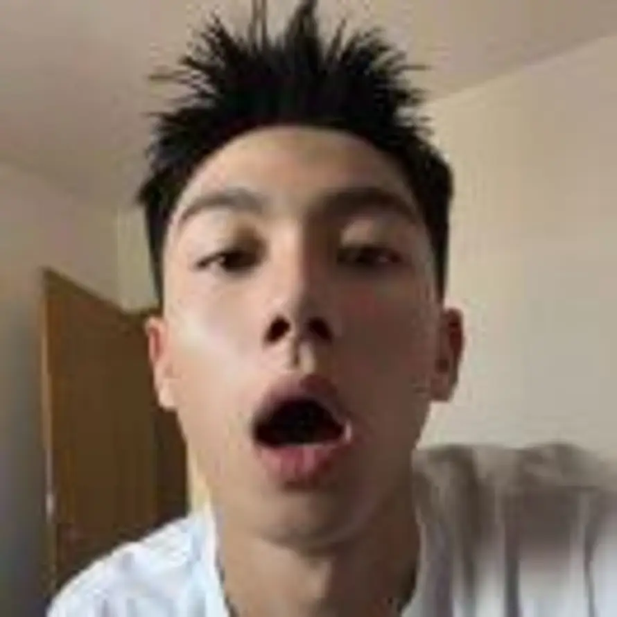 麦辣鸡翅.的头像