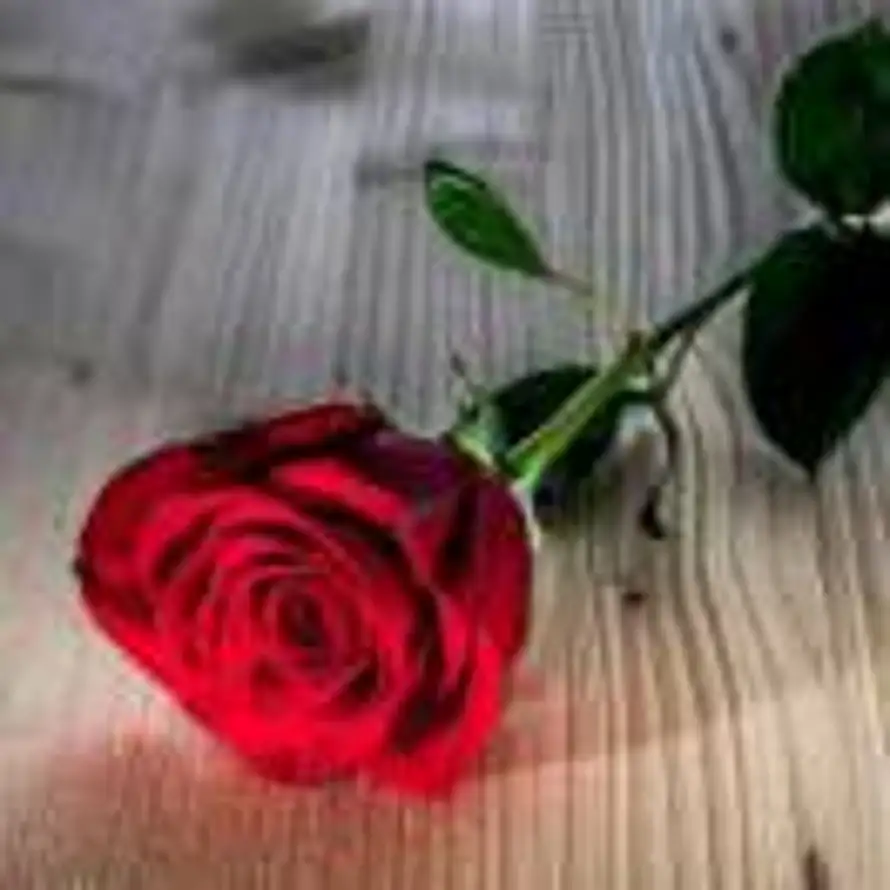 岁月静好的头像