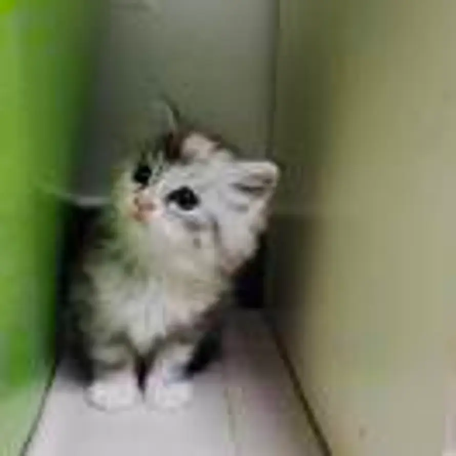 沧海桑田的头像