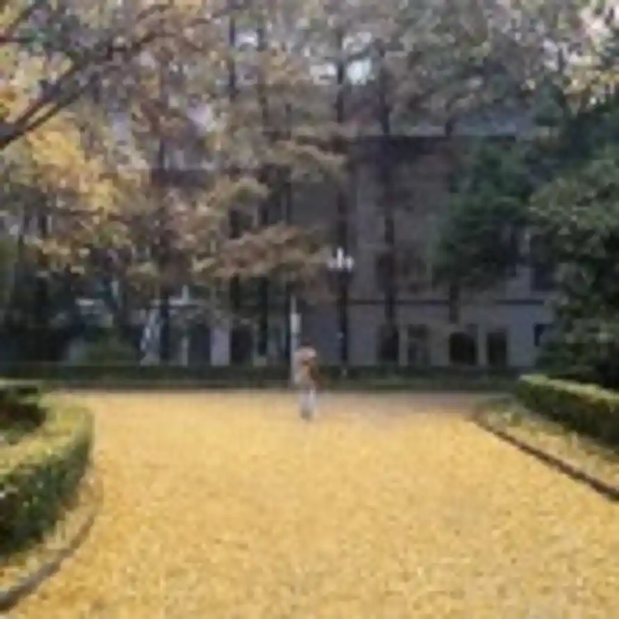 超爱稀饭的豆角的头像