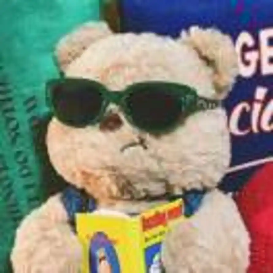 辻柒吖～🐾的头像