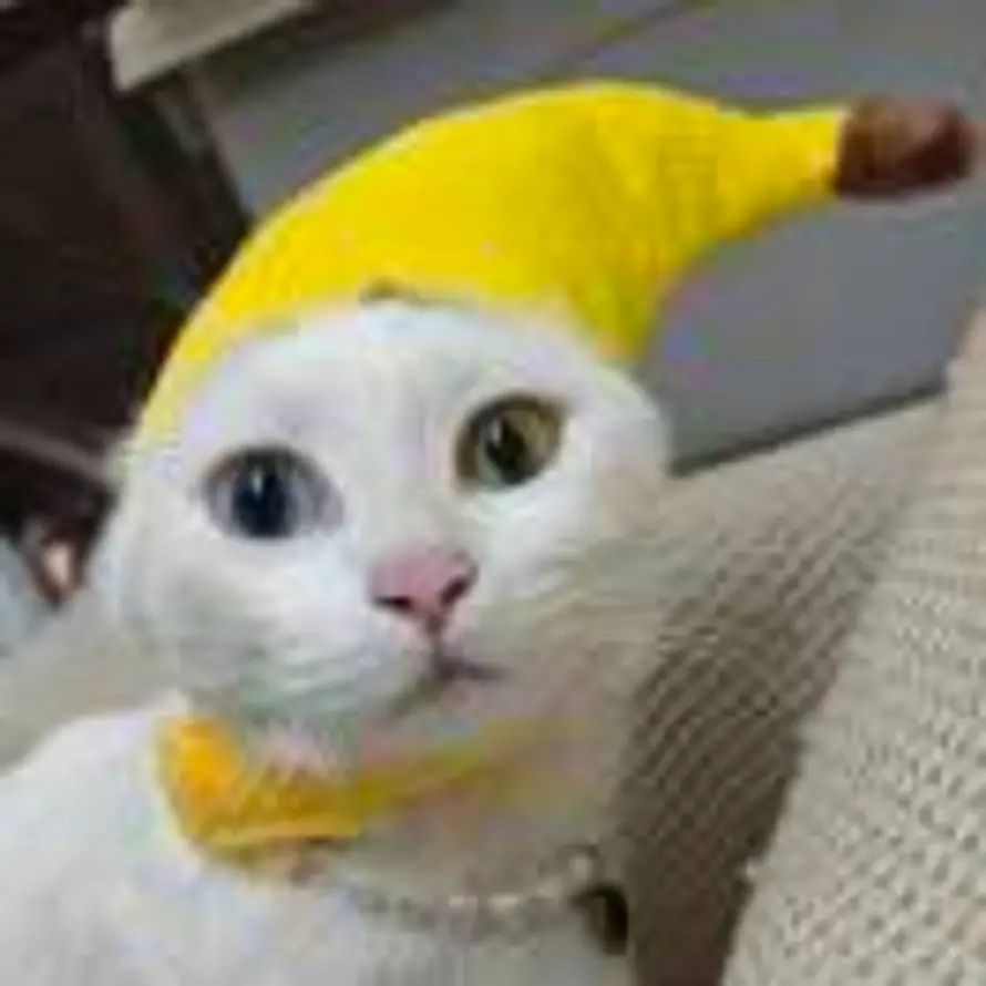 Piece.玉子的头像