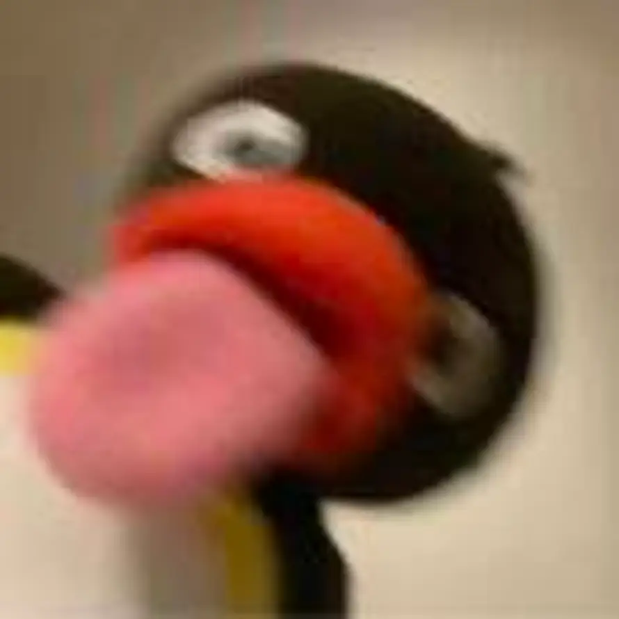 去到富士山下.的头像