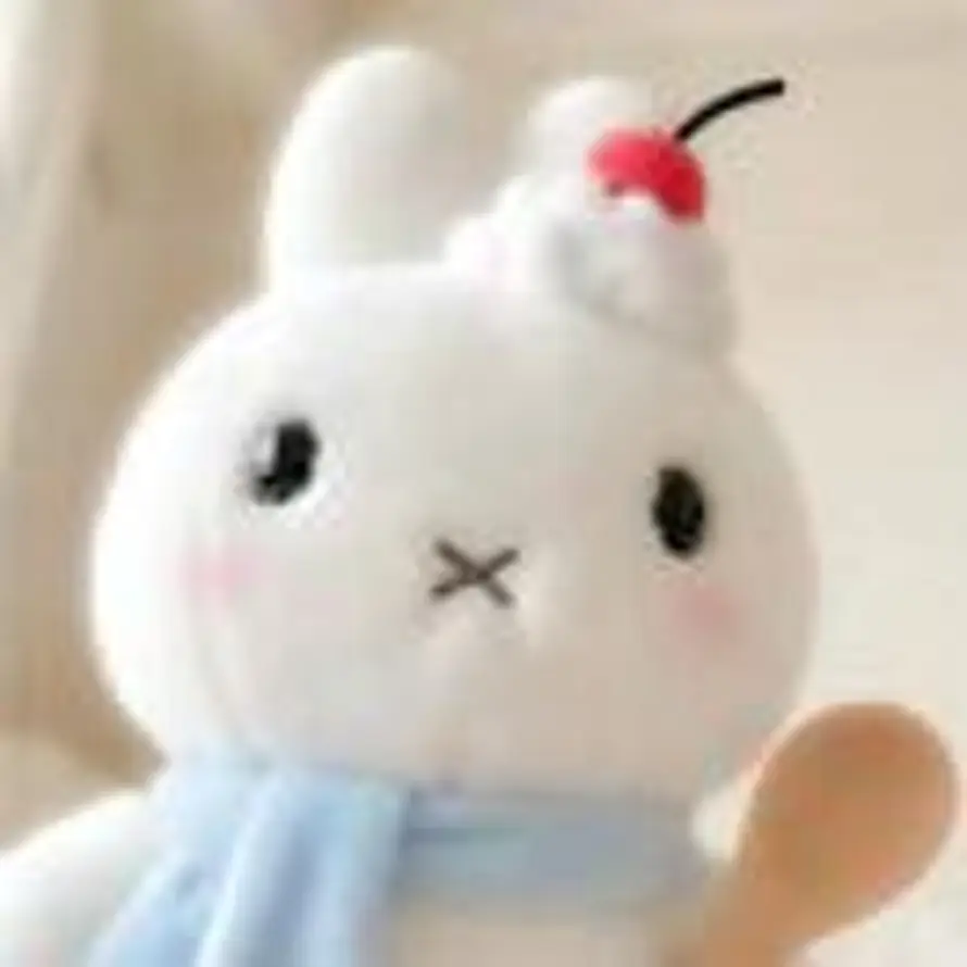 Hiian^2🧸的头像