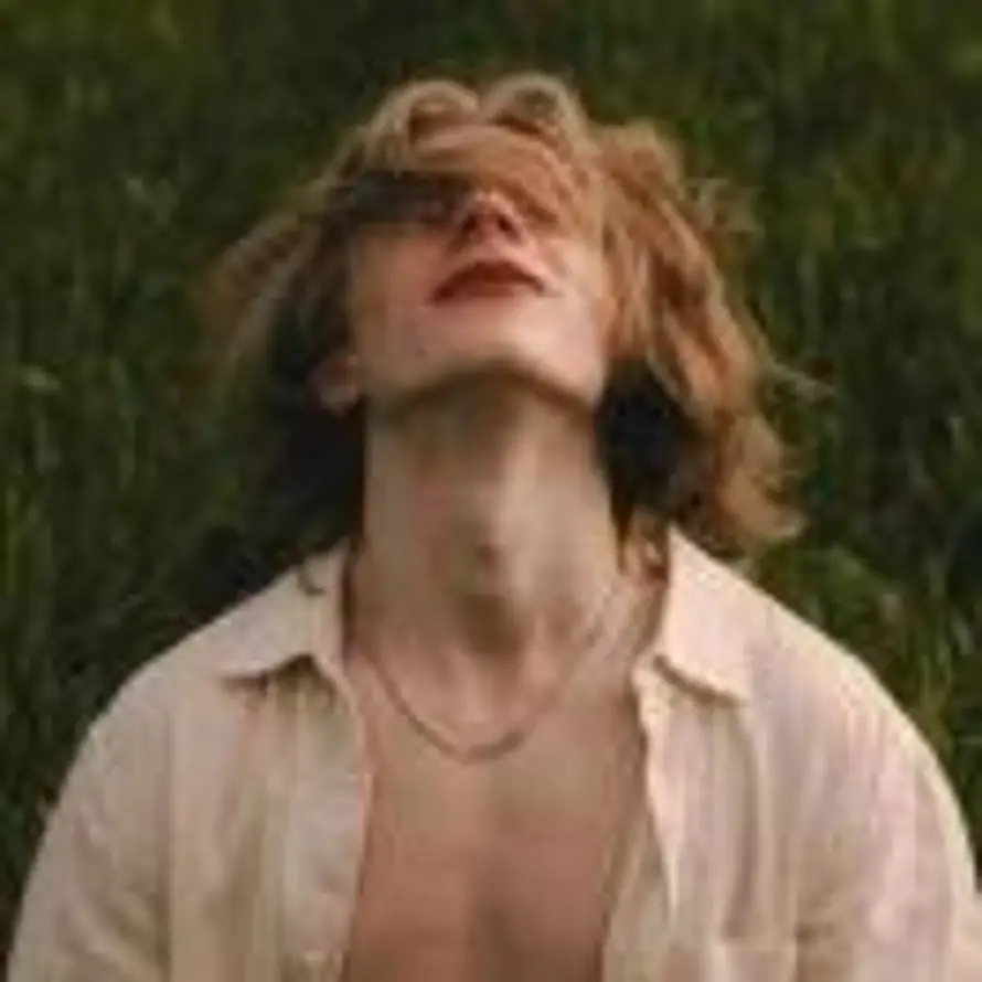 一只眠羊的头像