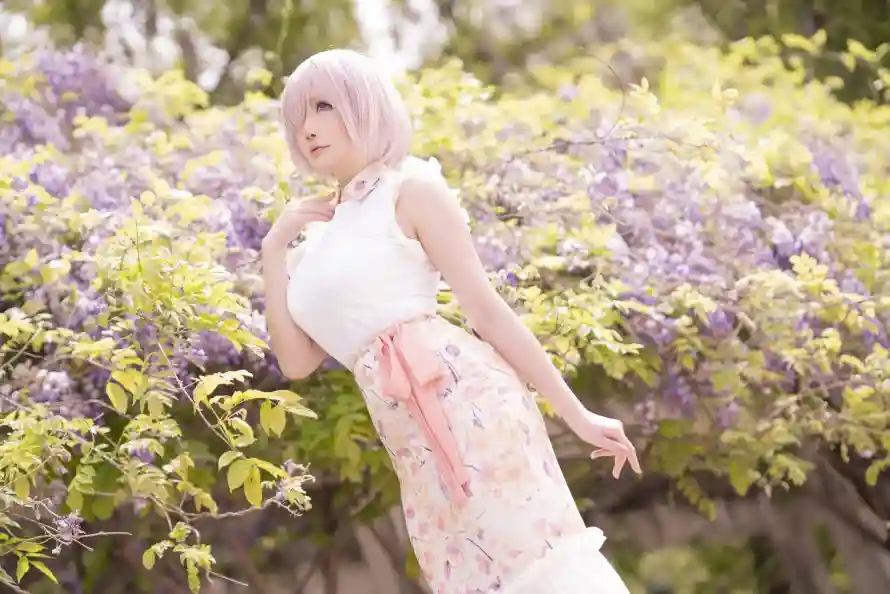 4k户外壁纸 - 春季 - 白色 - 绿植「哲风壁纸」 4k户外壁纸 - 春季 - 白色 - 绿植「哲风壁纸」