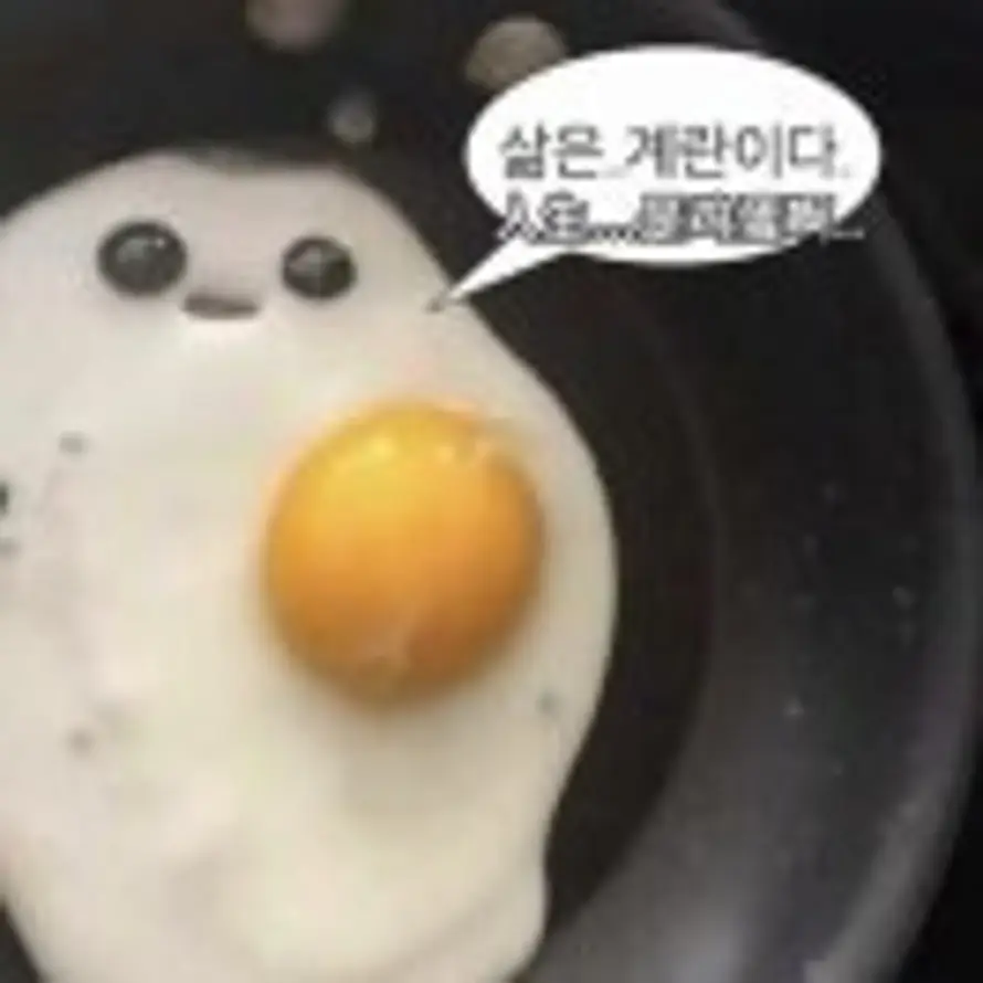 一只不粘锅的头像