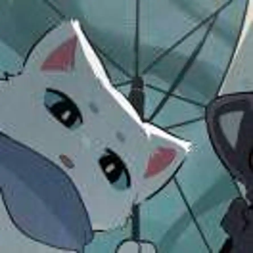 .君氿的头像