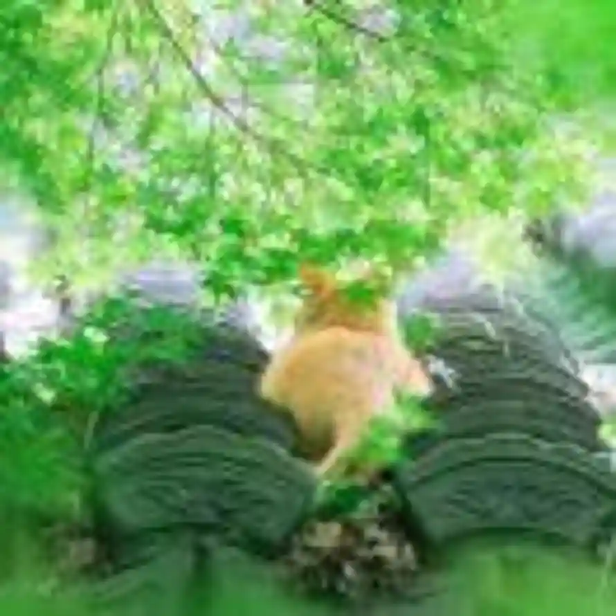 浮光的头像