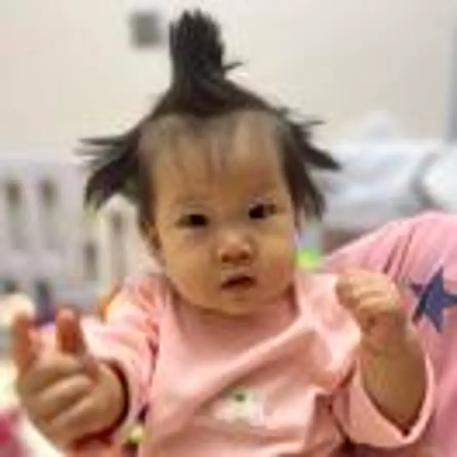 少不入川的头像