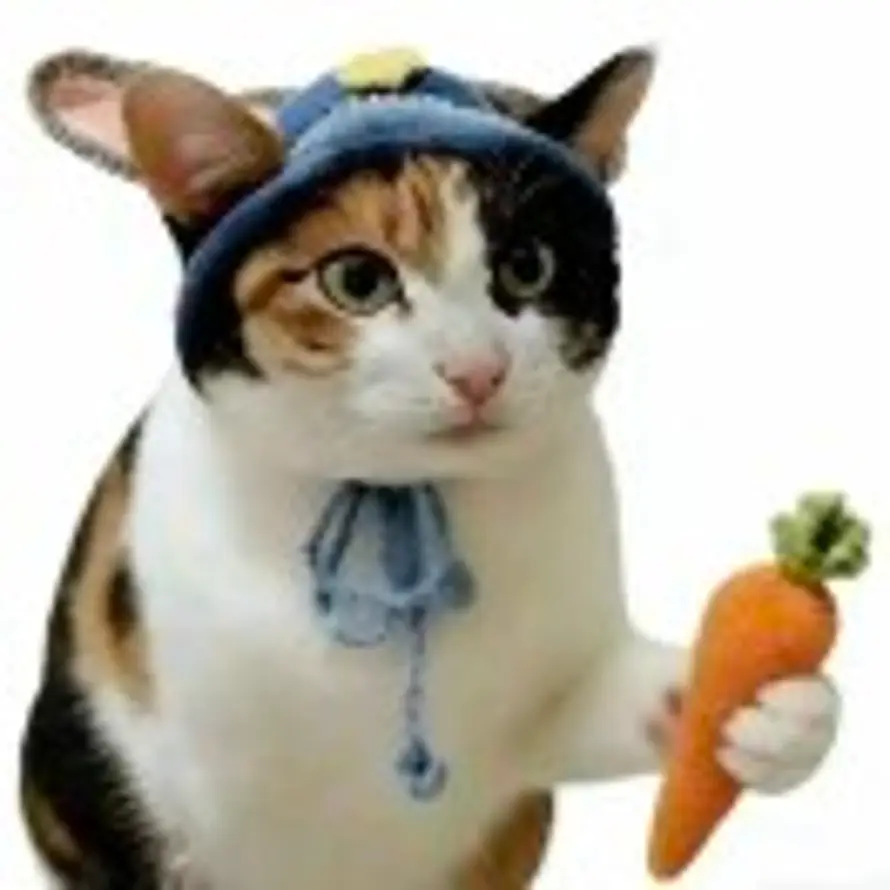 Georgia🐤🐤咕咕嘎嘎的头像