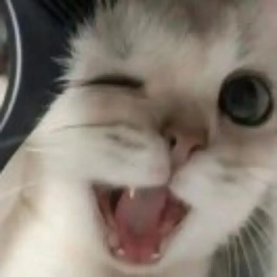 SiO₂+4HF=SiF₄+2H₂O的头像