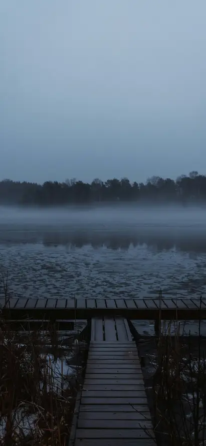 4k户外壁纸 - 木桥 - 树林 - 湖水「哲风壁纸」